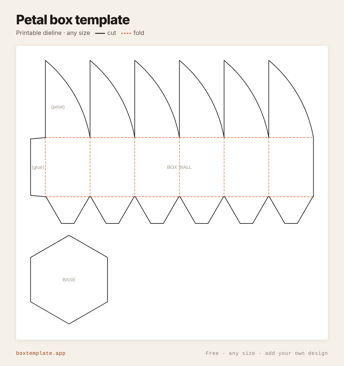 Petal box template — free printable dieline with cut and fold lines, any size